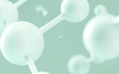 CDMO-Industrie im Wandel: Wachstum, M&A-Dynamik und strategische Chancen